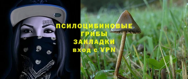 гашик Лиски