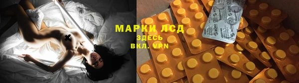 шишки Липки